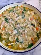 Quick Chicken and Vegetable Soup